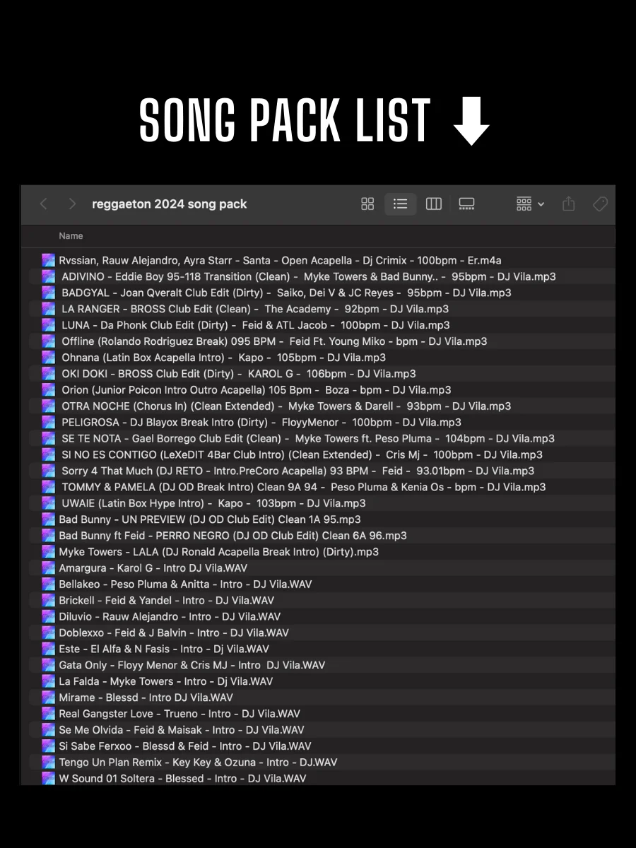 Reggaeton 2024 Mix – Song Pack product image (2)