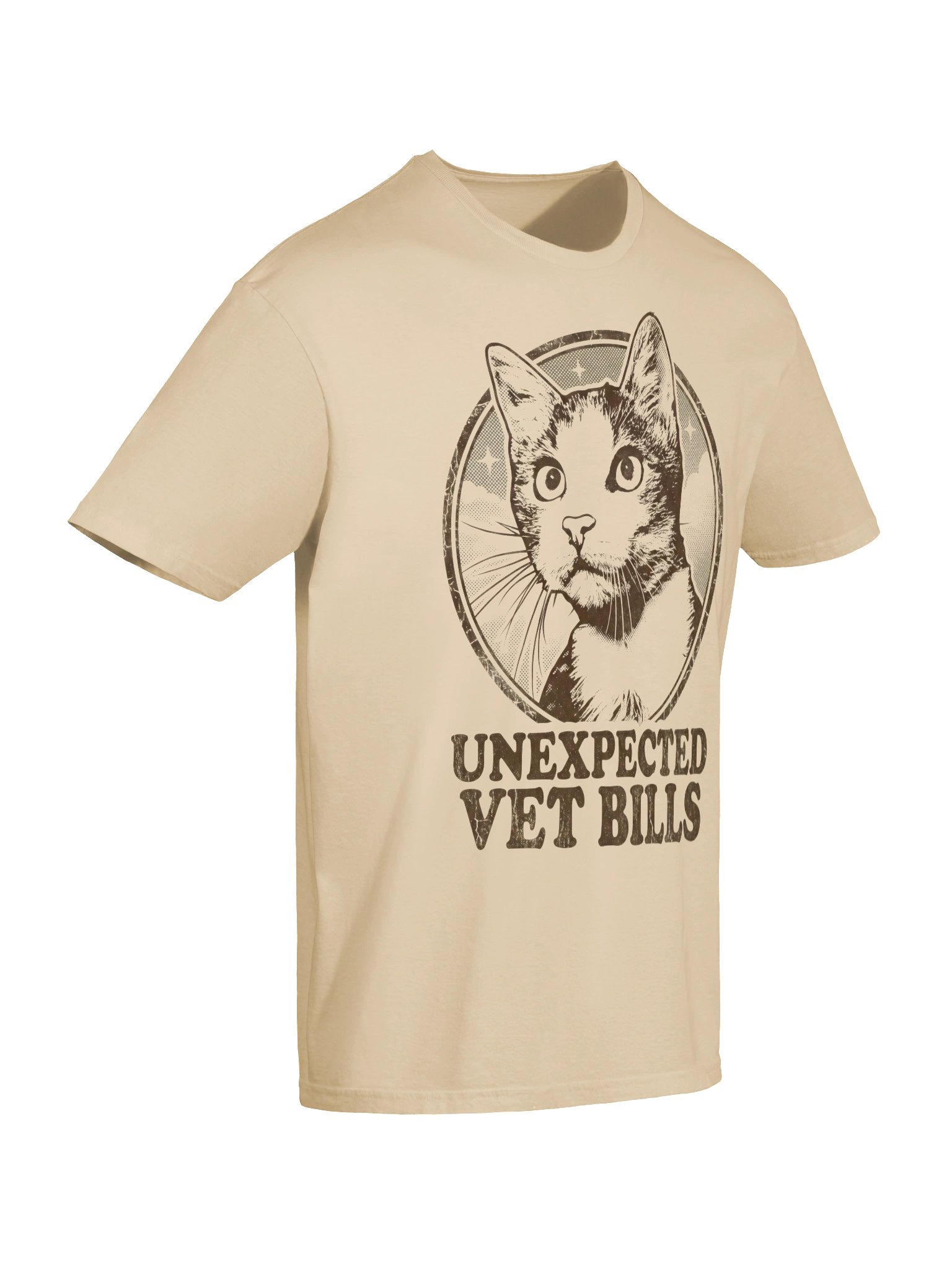 Vet Bills Cat T-Shirt product image (27)