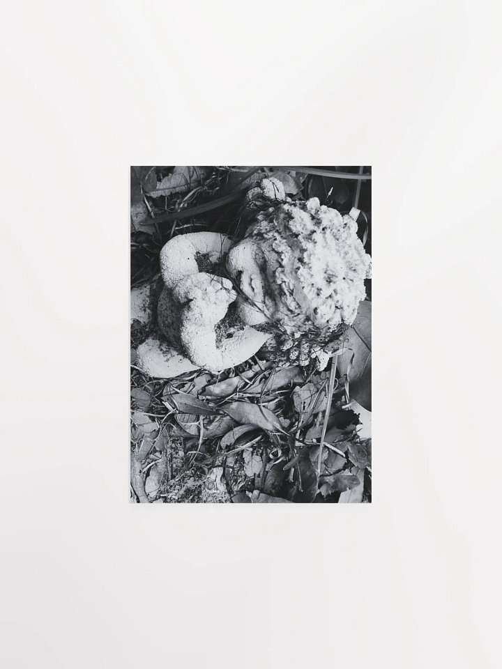 Angel of Decay product image (2)