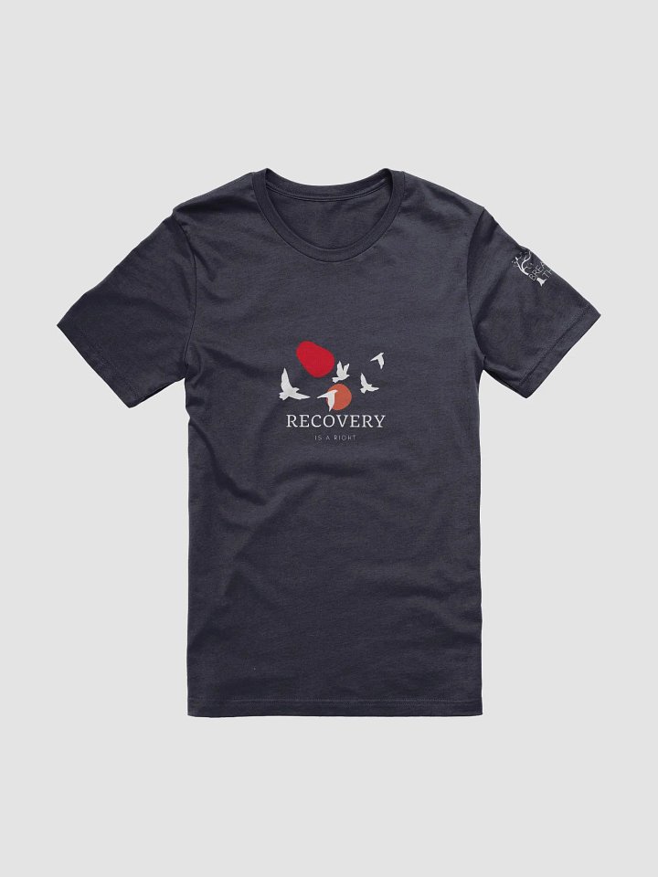 Recovery is a Right product image (1)