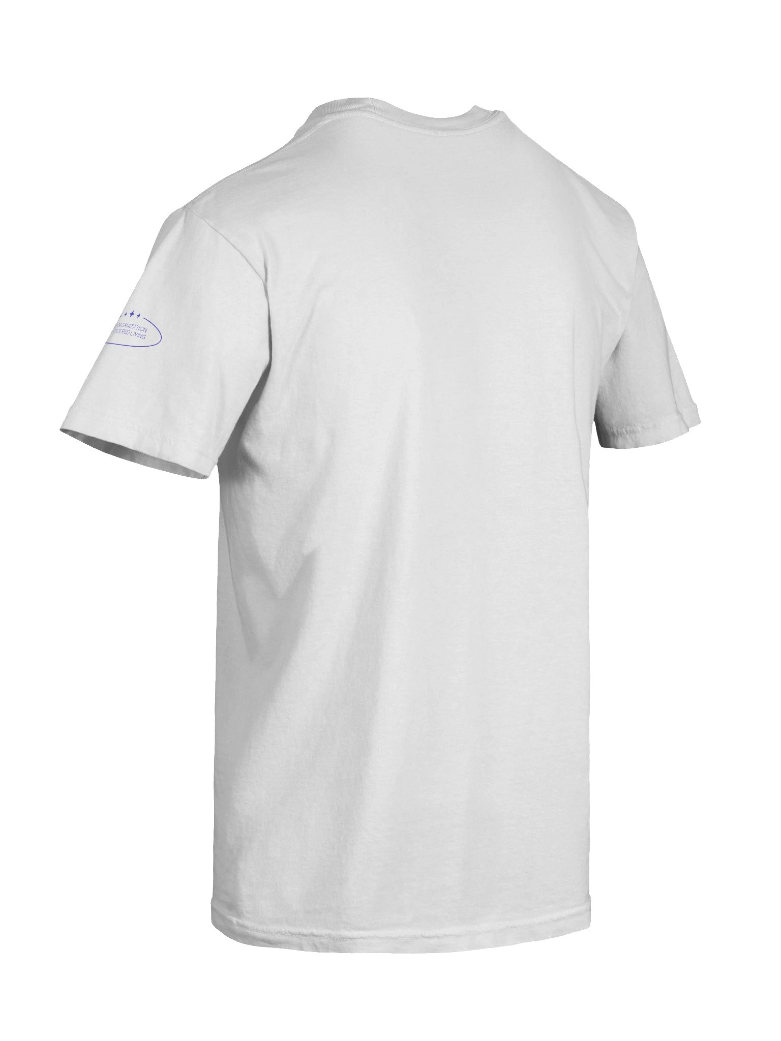 Heavyweight Tee: The GNG product image (10)