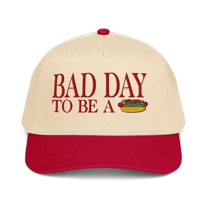Bad Day to be a Chicago Dog embroidered hat product image (13)