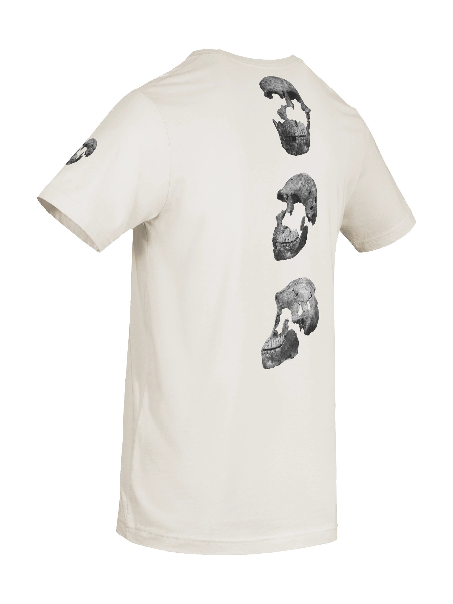 Naledi Fossil Skull T-Shirt Light product image (59)