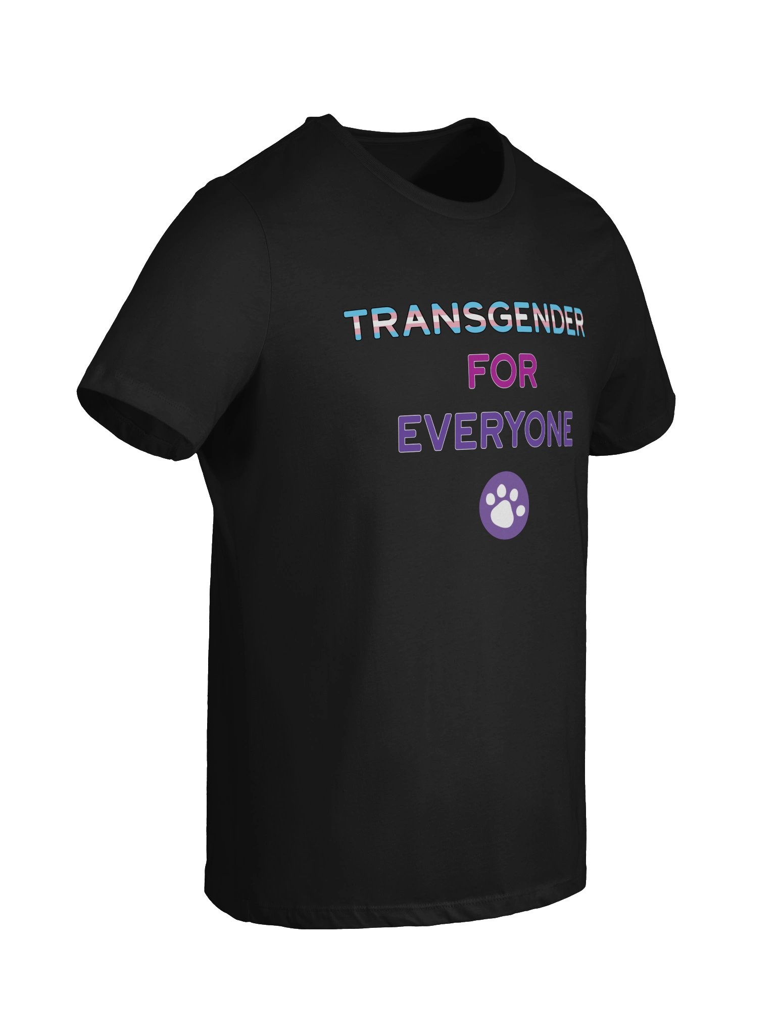 Transgender for Everyone Women's T-Shirt product image (8)
