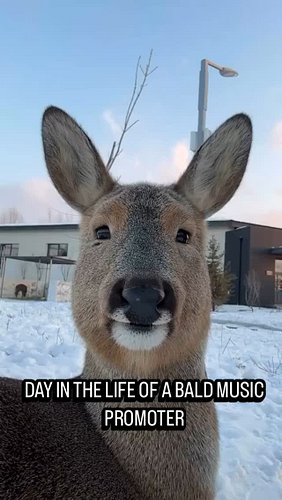 DITL : RAVE DAY