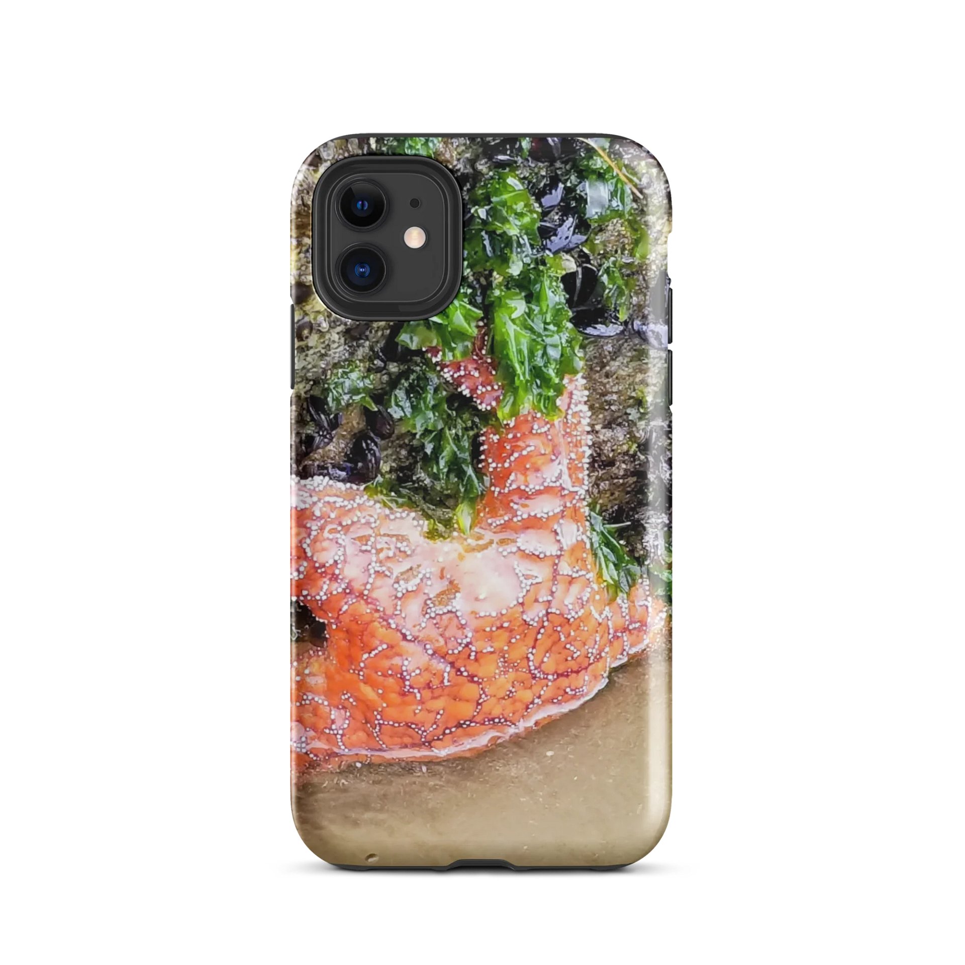 Starfish Serenity Tough iPhone® Case product image (28)