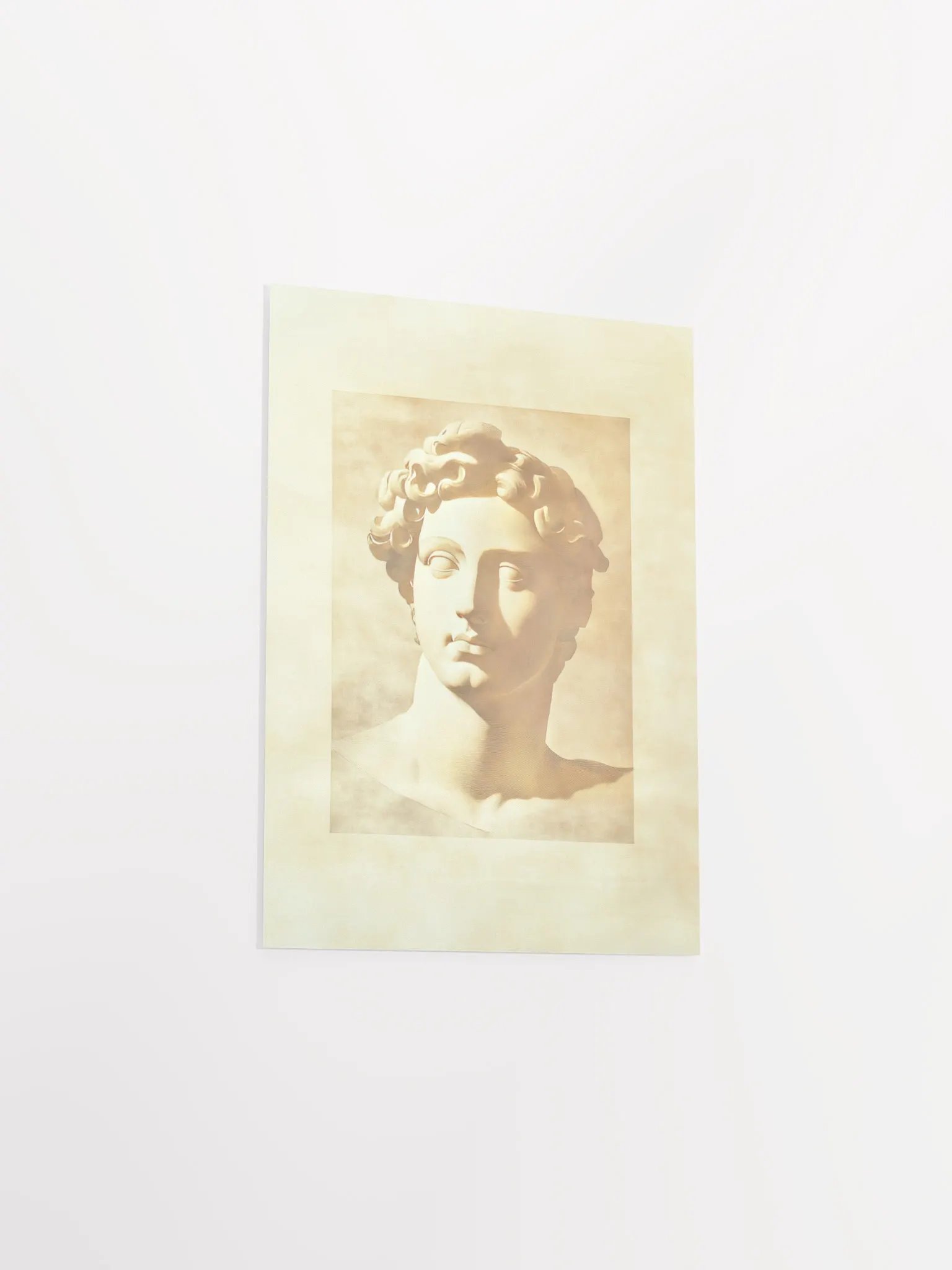 Academia Allure: Classical Revival VI Art Print product image (16)