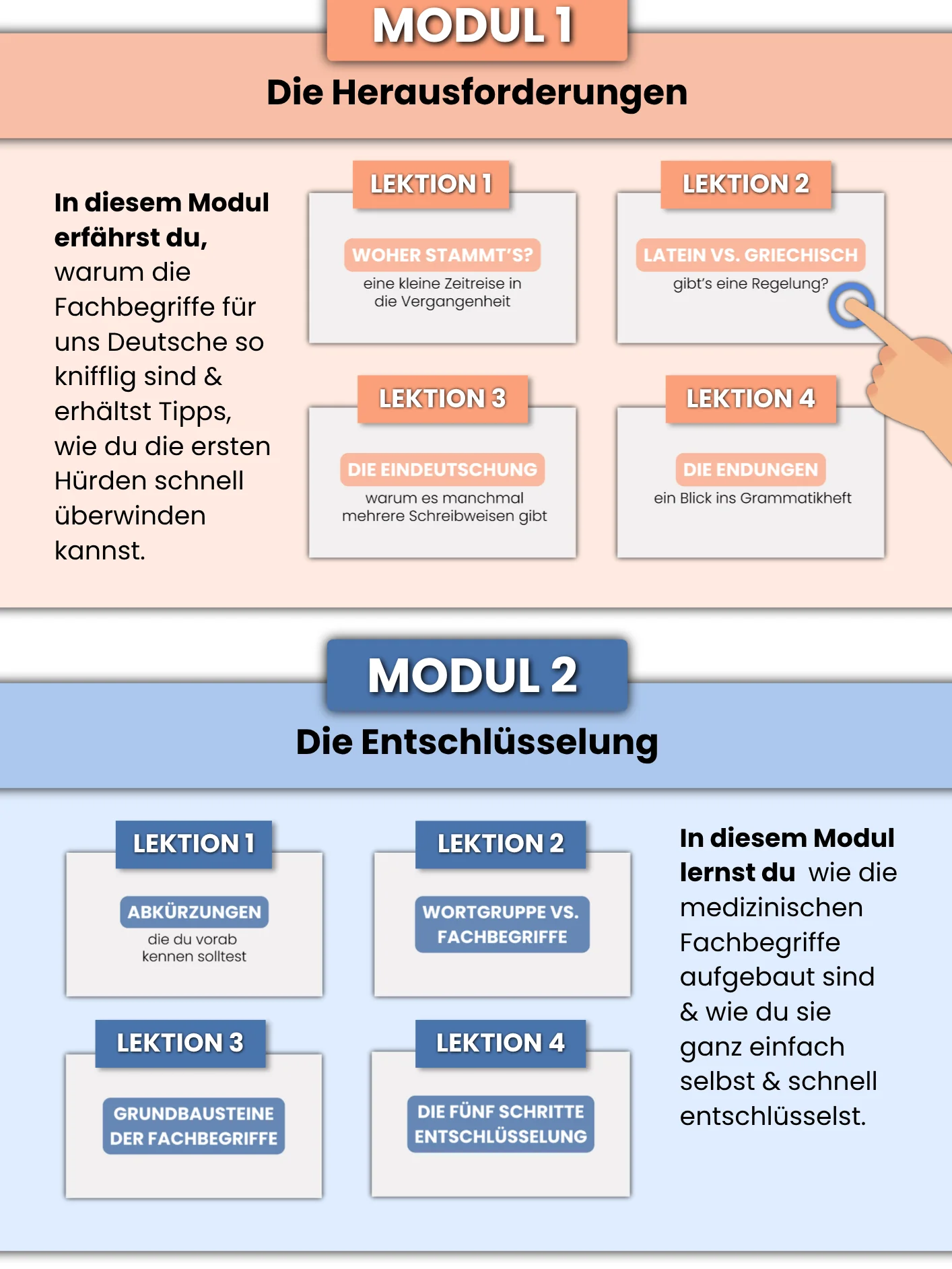 Anatomisch gesprochen - medizinische Fachbegriffe entschlüsseln product image (3)