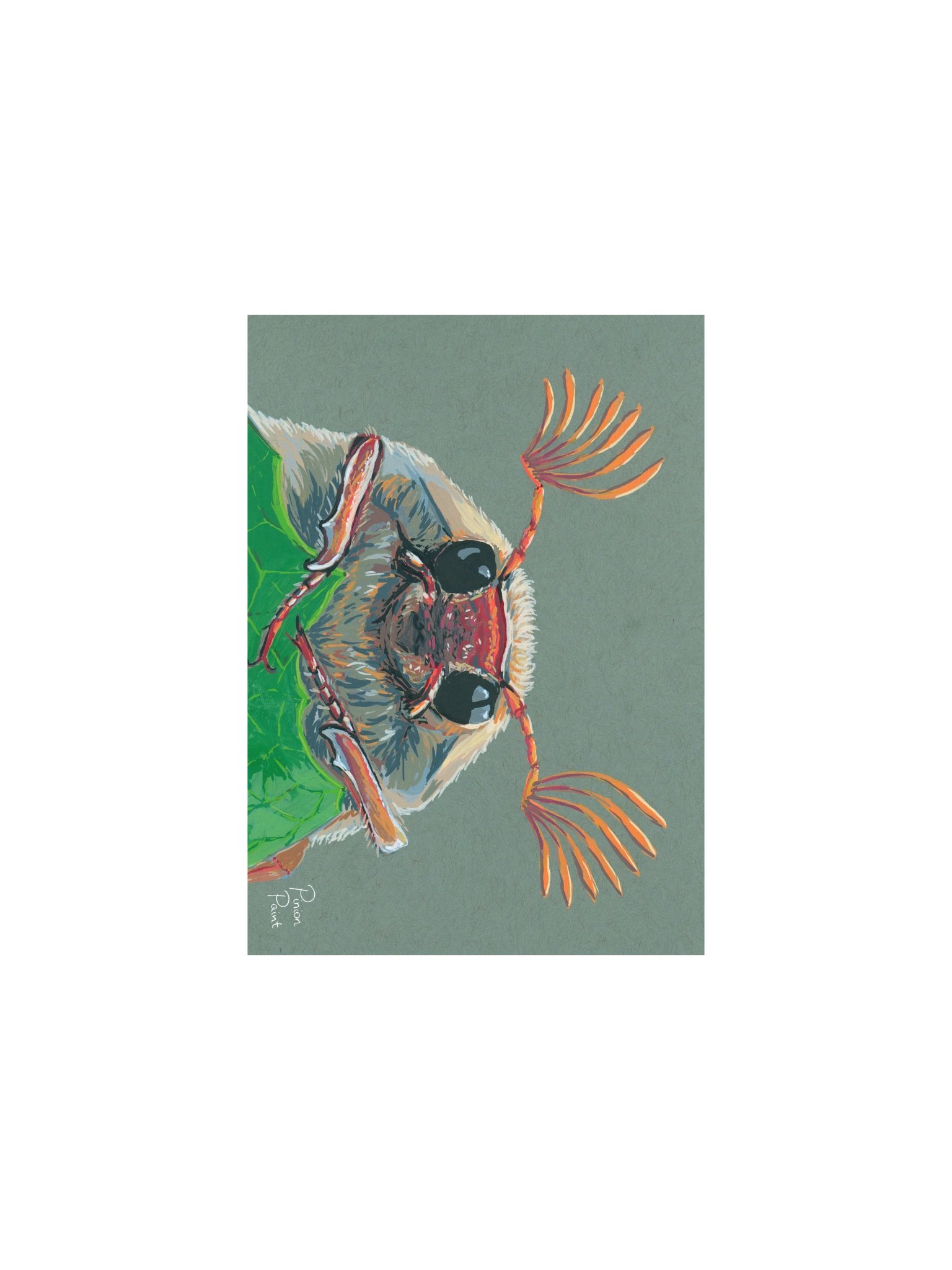 Cockchafer print product image (1)