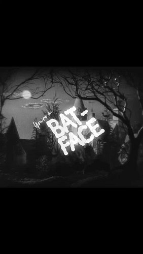 We have a new song. It's called BAT FACE. It is about BAT FACE and it sounds like this... 🦇🔊