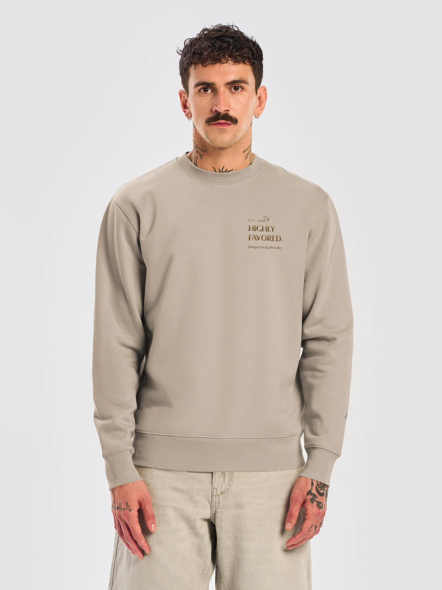 Highly Favored. Dangerously literate. Cream sweater. product image (5)