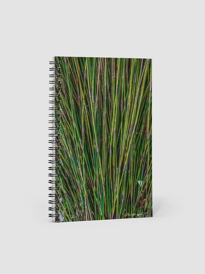 📓 Notebook Collection PURE – Jardin du Rayol – Roseau du Cap product image (1)