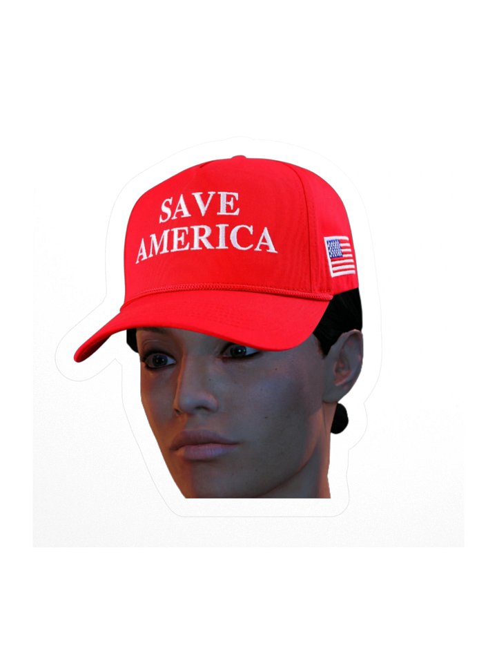 Ashley Williams: HOOMANS ONLY product image (1)