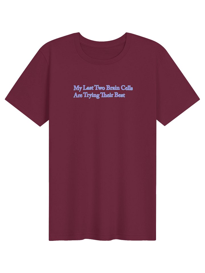 My Last Two Brain Cells Are Trying Their Best T Shirt product image (21)