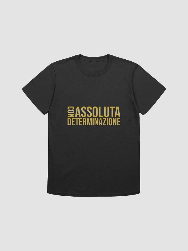 Con assoluta determinazione