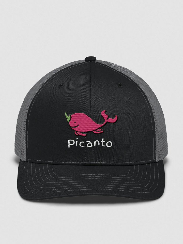 Picanto Trucker Hat product image (1)