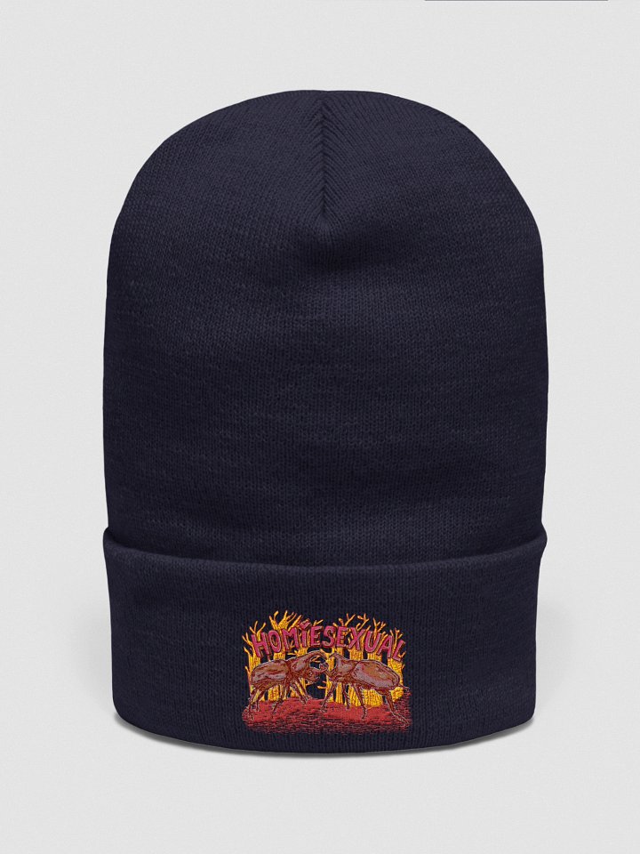 homiesexual beanies! product image (3)
