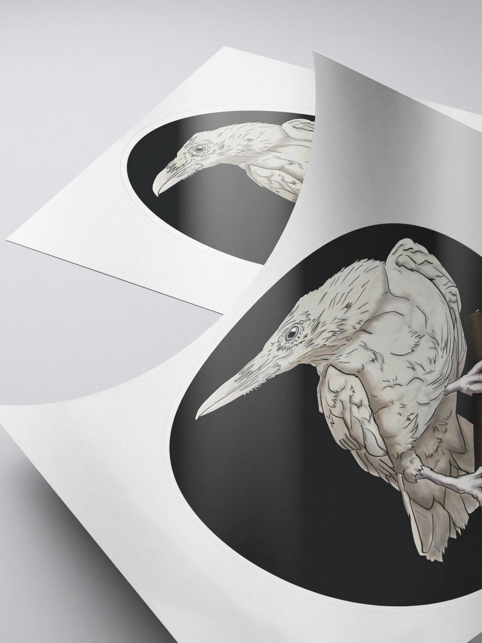 Leucistic Raven Sticker product image (4)