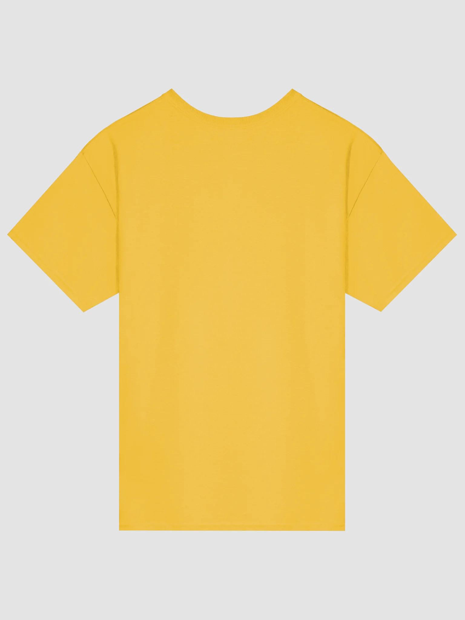 Not Today Jesus - Shirt product image (15)