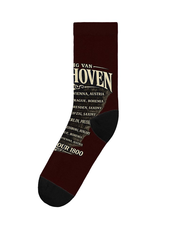 Beethoven World Tour 1800 Socks product image (1)