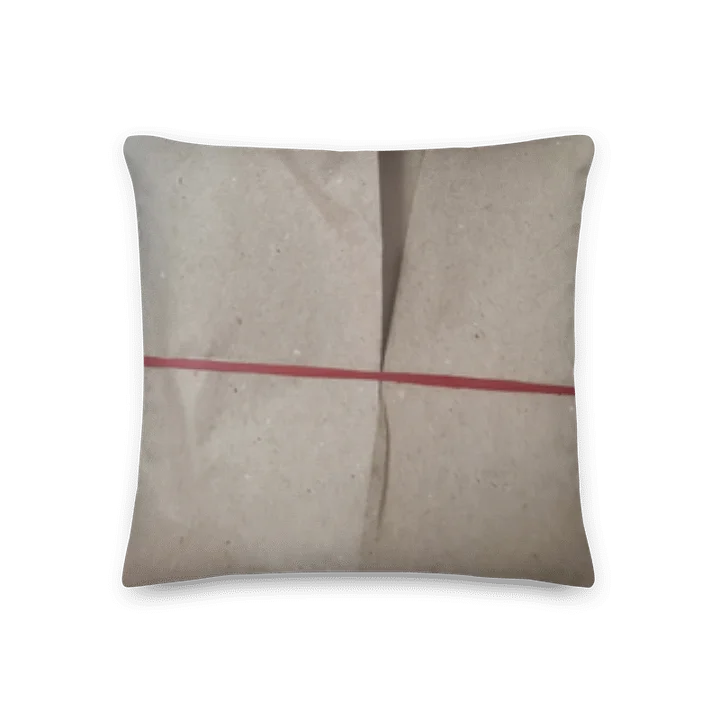 Char Siew Rice Decorative Pillow product image (2)