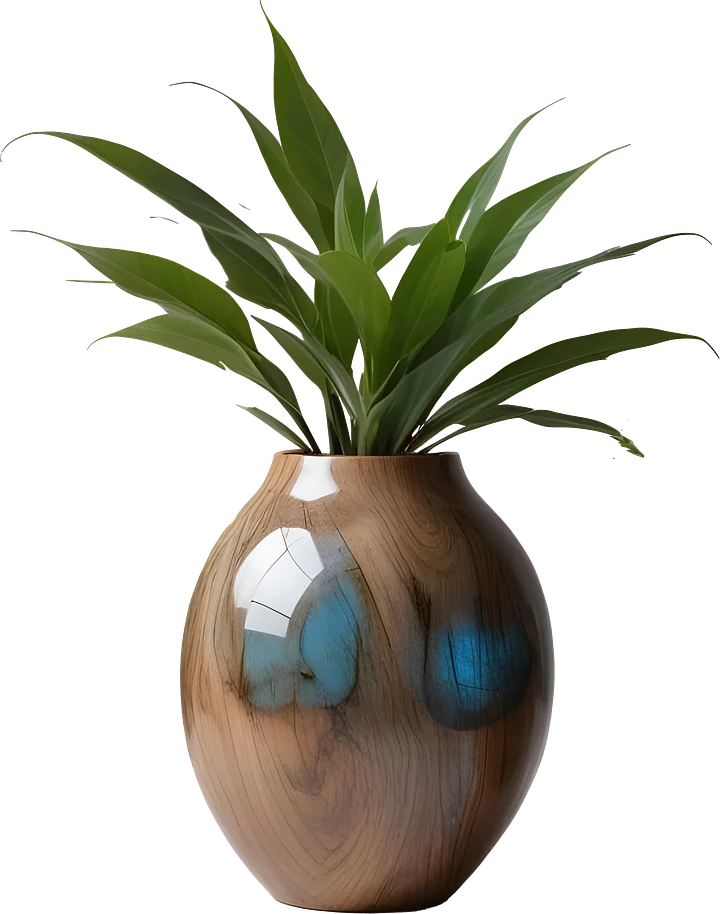 Celestial Grace – Vase PNG product image (1)