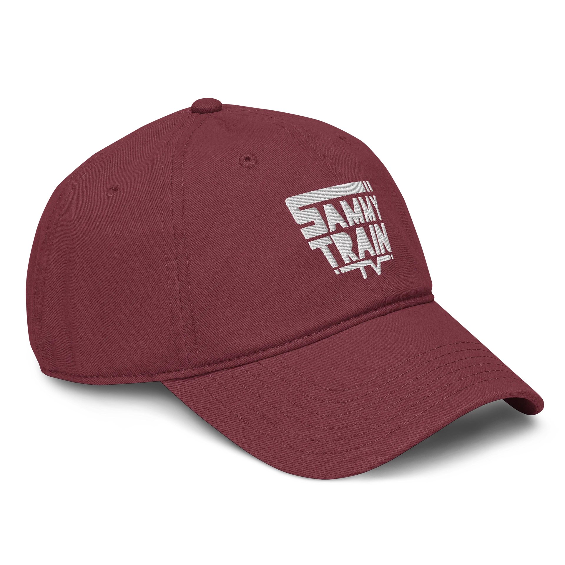 Logo Hat (Embroidered) product image (24)