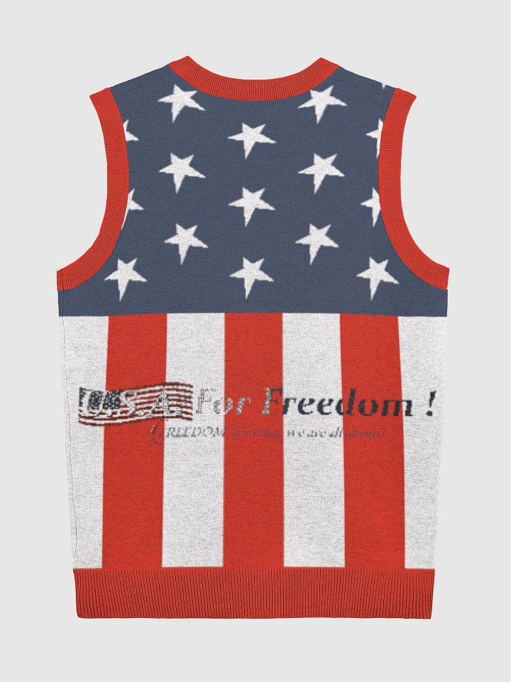 I support the 2nd Amend (patriotic) sweater product image (9)