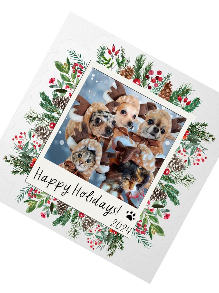 LIMITED EDITION Sticker - Paws [Holidays 2024] product image (2)
