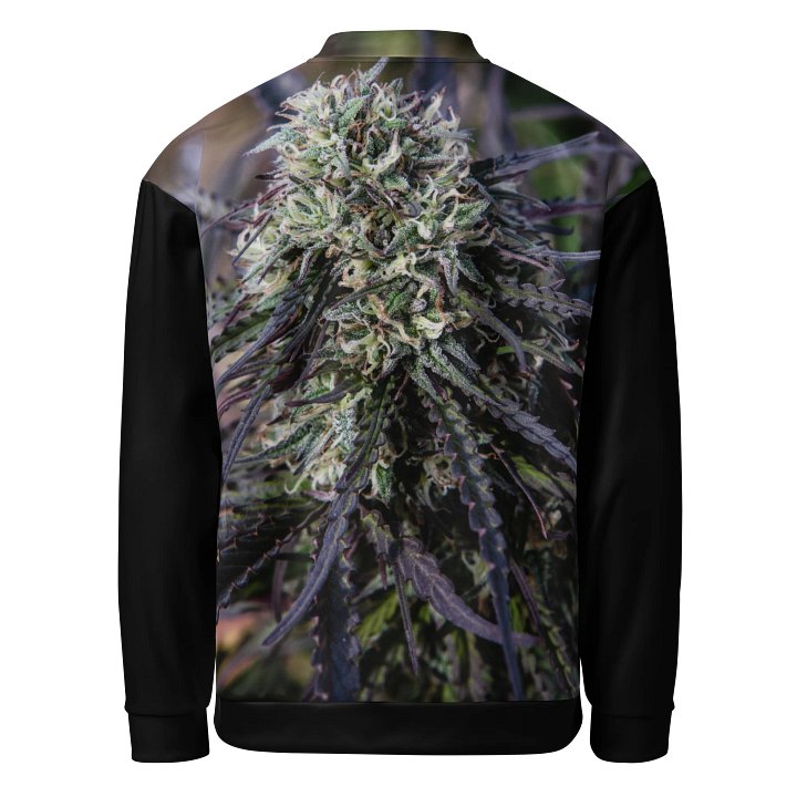Royal Purple Cultivated Bomber Jacket product image (2)