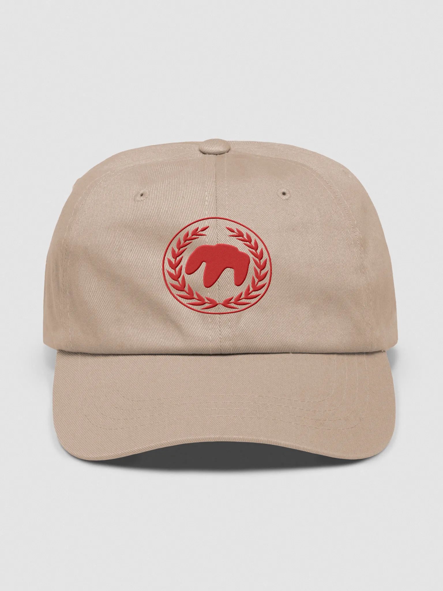 Red OEM FormFrame and Associates LLC Hat product image (41)