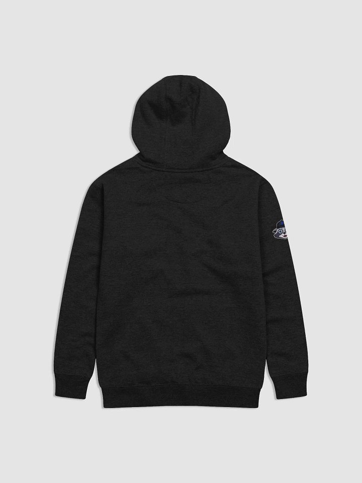 Peek-a-Boo Raccoon Hoodie product image (8)