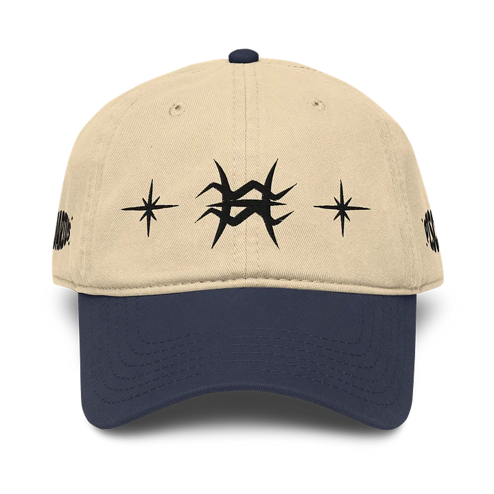aquarius pisces cusp dad hat (black) product image (13)