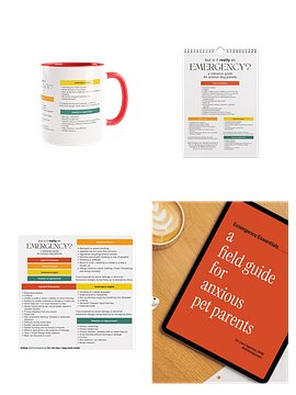 The Anxious Dog Parent Starter Pack