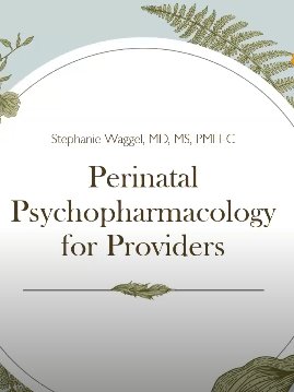 Professional Training: Perinatal Psychopharmacology for Providers product image (2)