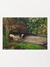 ''Ophelia'' by John Everett Millais Poster