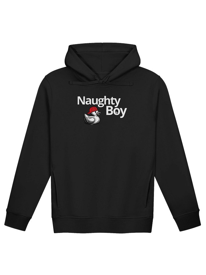 Naughty Boy Hoodie product image (1)
