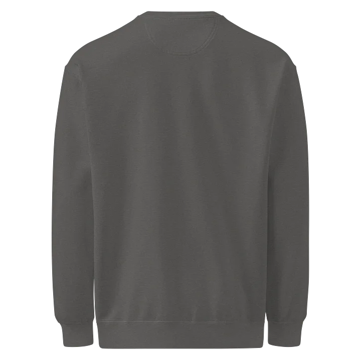 Radiology Comfort Colors Crewneck product image (18)