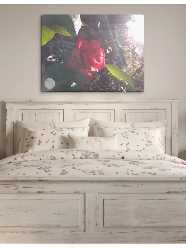 INTİ - Canvas Fine Art product image (2)