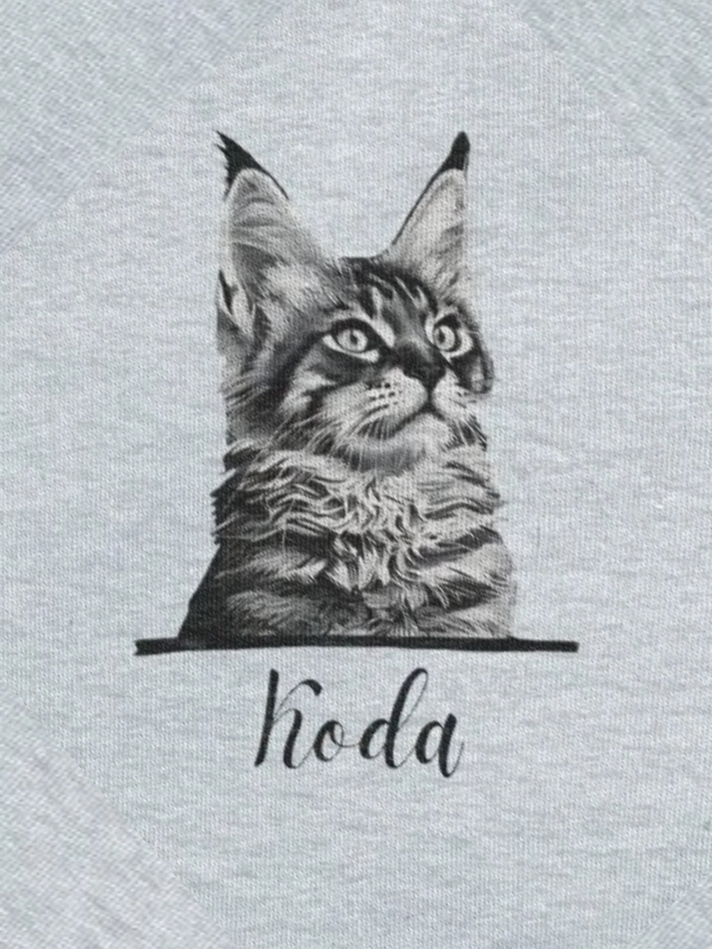 YOUR MAINE COON! / T-SHIRT WITH PERSONALIZED NAME product image (2)