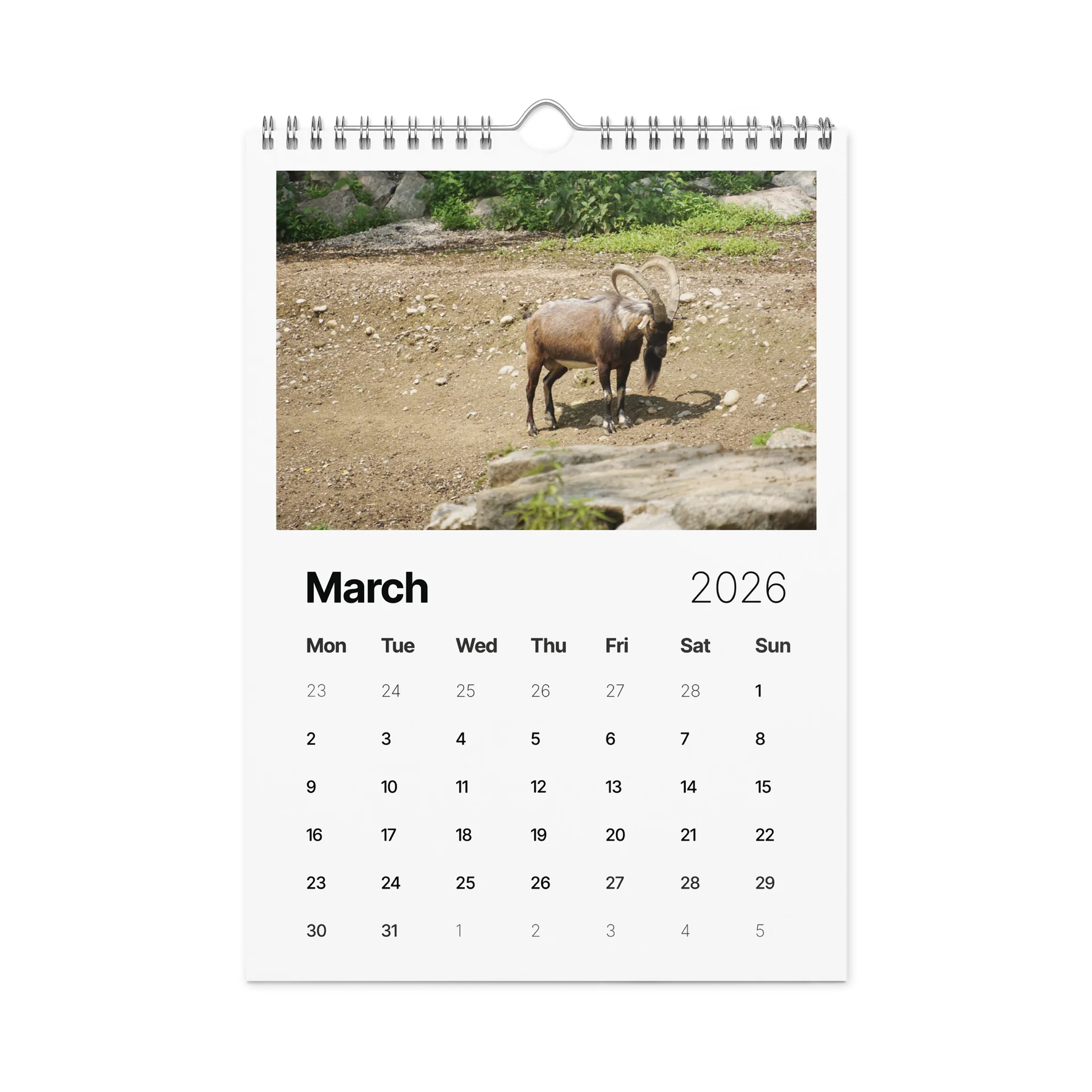 One Year, Twelve Animals: ESE 2026 Wall Calendar product image (9)