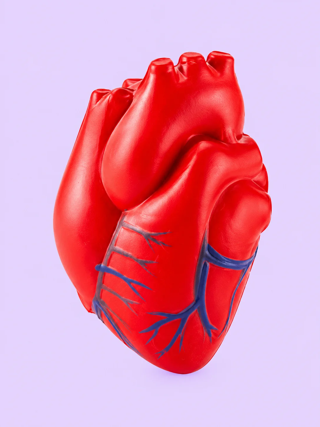 Anatomical Heart and Brain Foam Stress Ball Set product image (2)