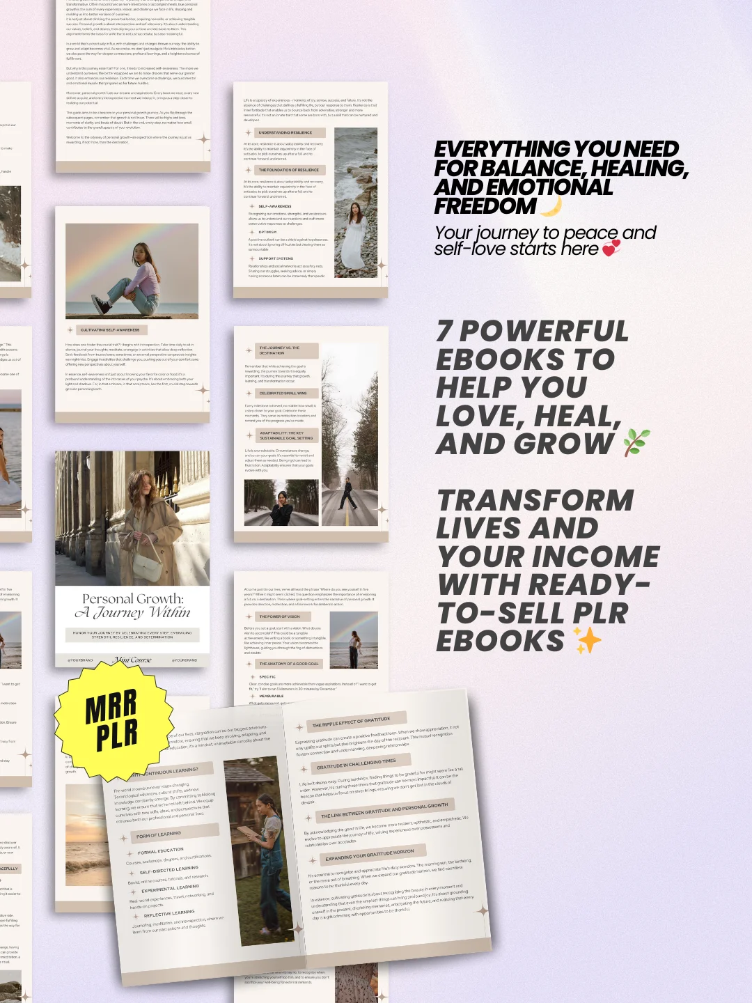 7 Wellness & Self Care eBooks + Workbooks Bundle | MRR PLR Bundle product image (3)