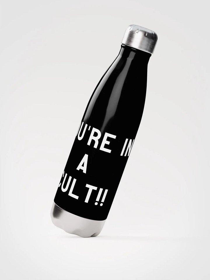 Pris- You're In A Cult -STAINLESS STEEL WATER BOTTLE product image (2)