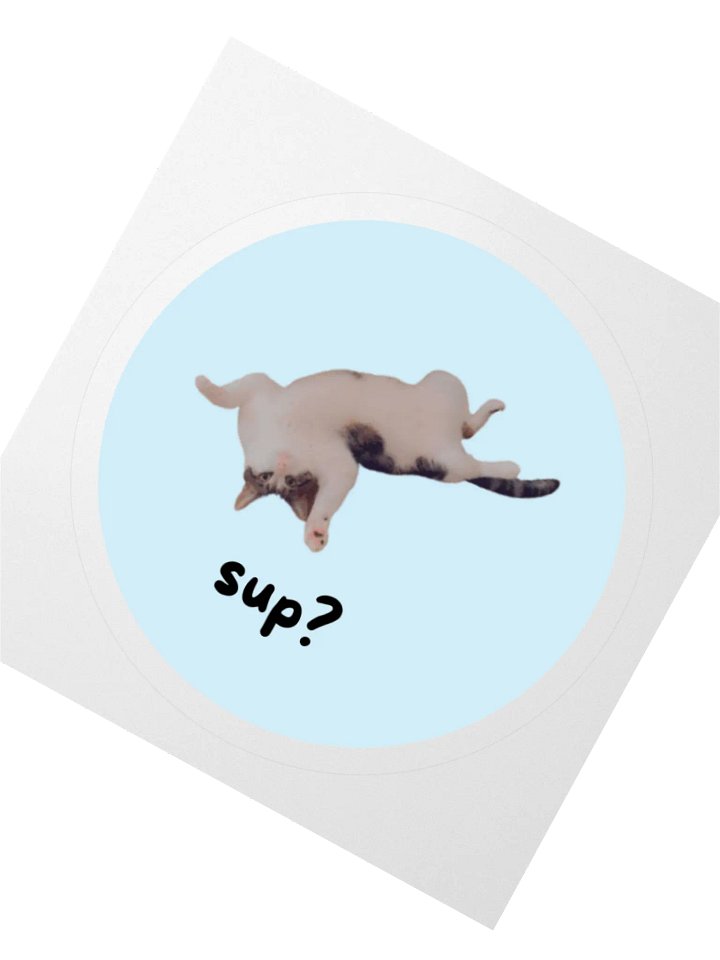 Ollie "Sup?" Sticker product image (2)