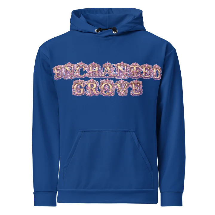 Kingdoms Treasurer 2 Recycled Hoodie product image (1)
