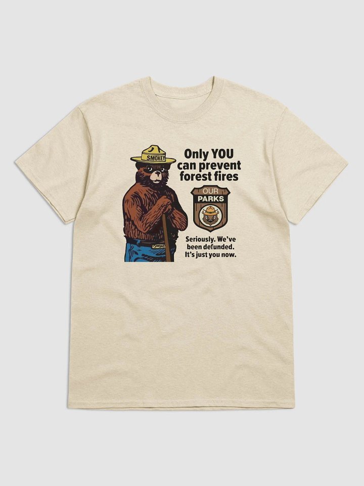 We've been DEFUNDED Smokey Our Parks Bear Heavyweight Alt National Parks T-Shirt product image (1)