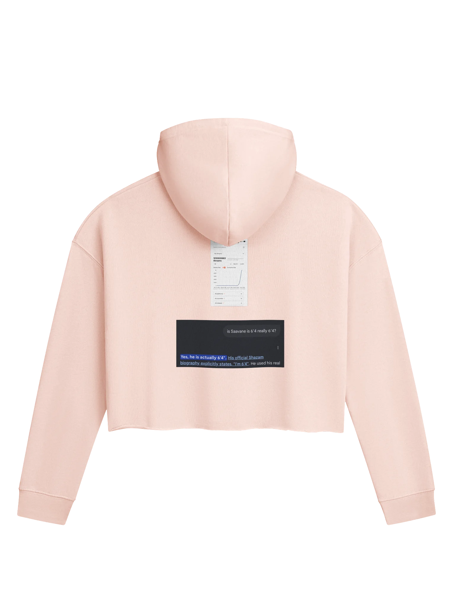 GIRL CROPPED HOODIE I FEEL LIKE TAYLOR SWIFT product image (2)