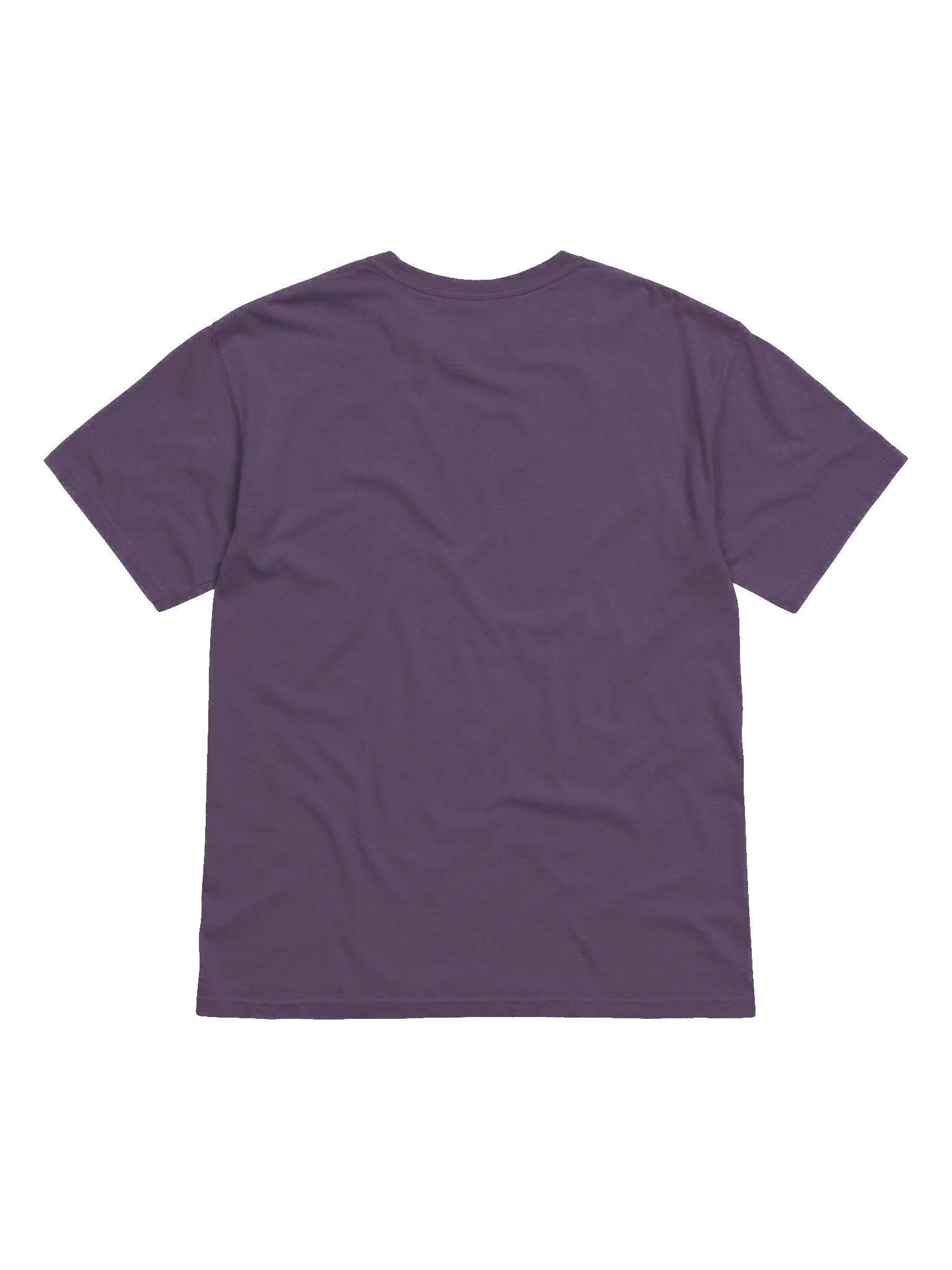You're Never too old for Fairytales Heavyweight T-Shirt product image (2)