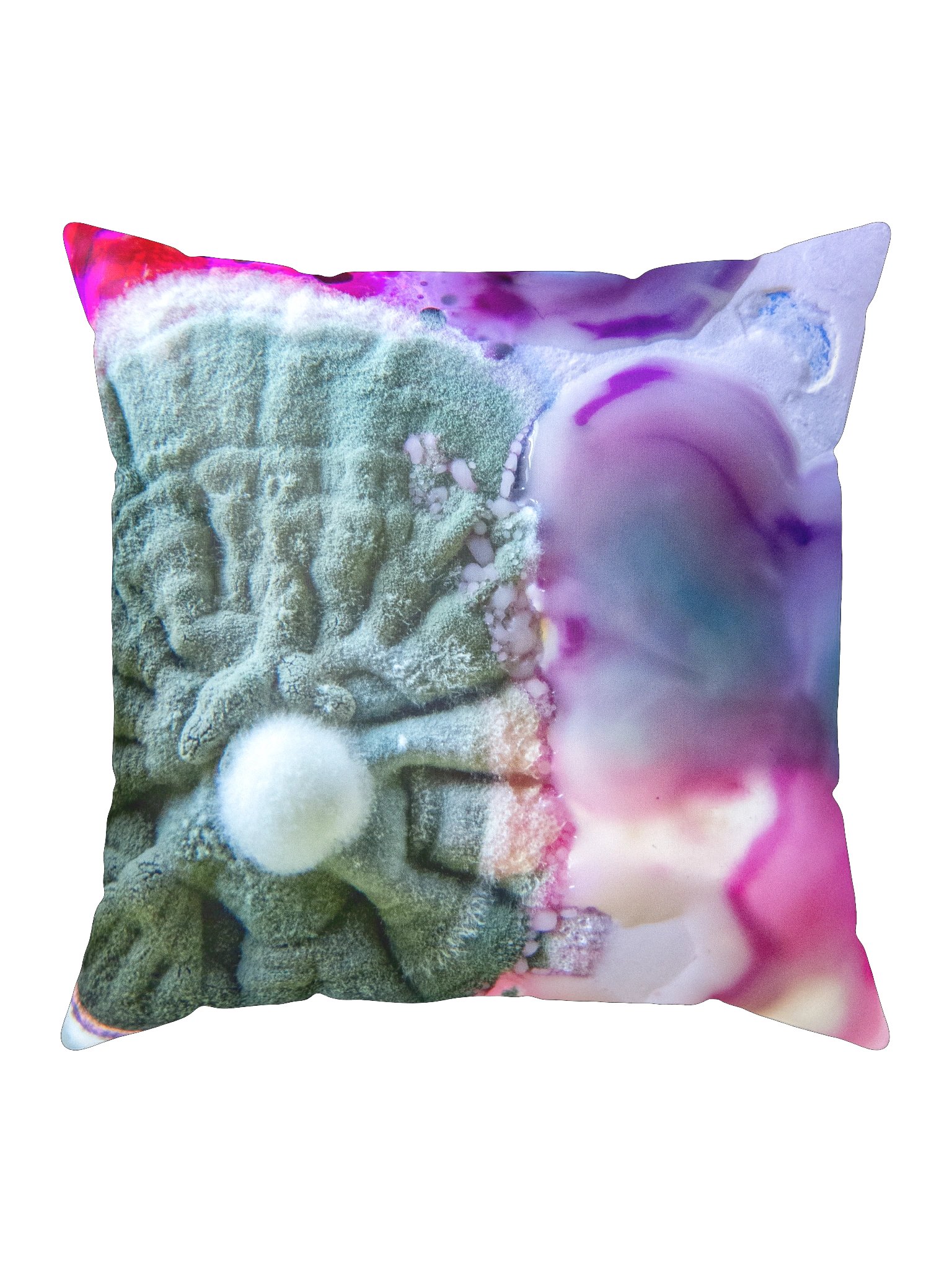 Pink lizard product image (5)